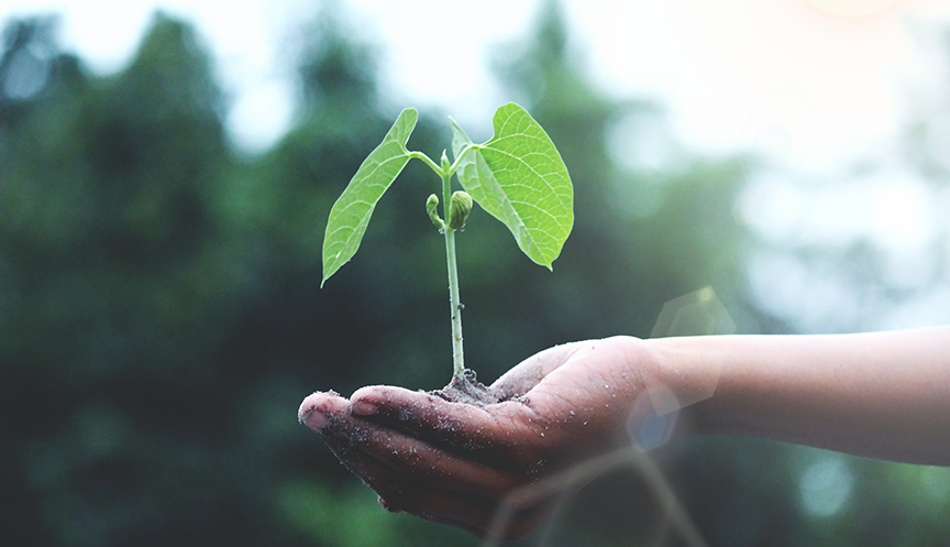 �ʶ�����(�й���)�ٷ���վ